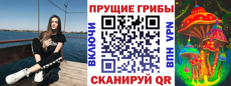 Купить закладки  Ливны  Псилоцибиновые грибы Psilocybine cubensis 